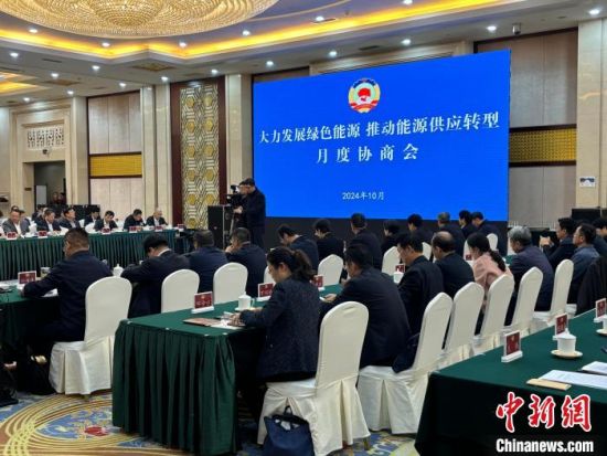 山东省政协10月29日召开“大力发展绿色能源推动能源供应转型”月度协商会。吕妍 摄